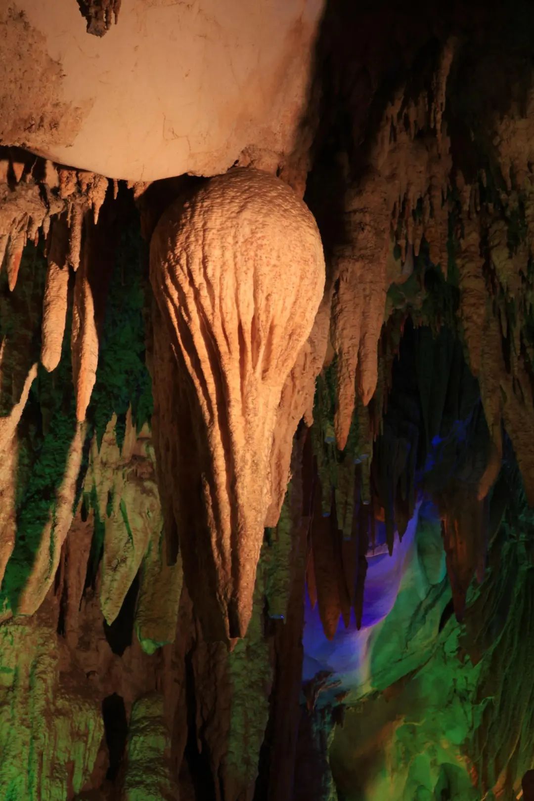 云南省文化和旅游厅