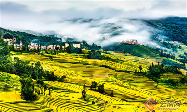 云南省文化和旅游厅