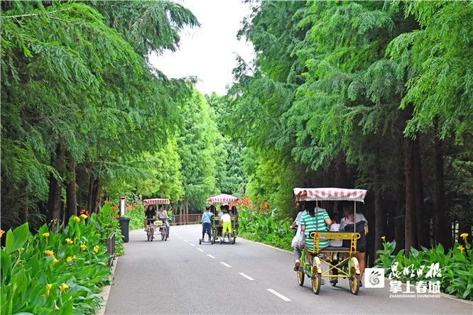 云南省文化和旅游厅