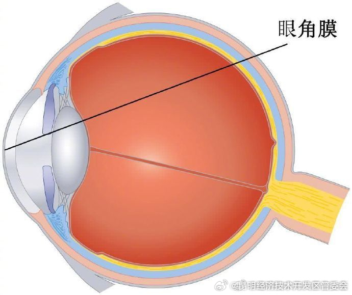 昆明经济技术开发区管委会