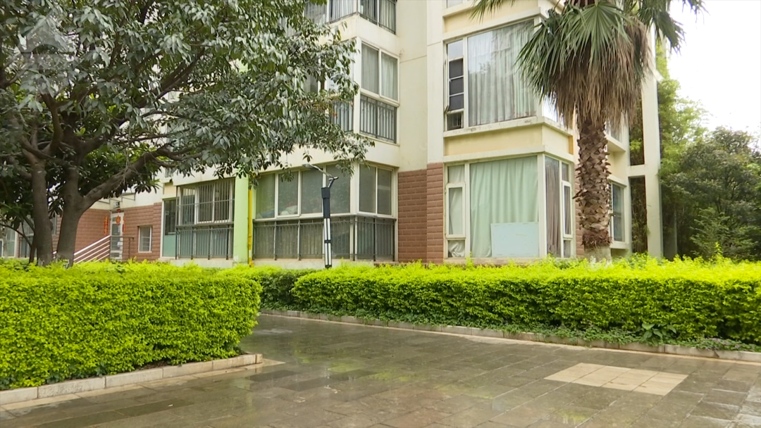 8099999街头巷尾微信