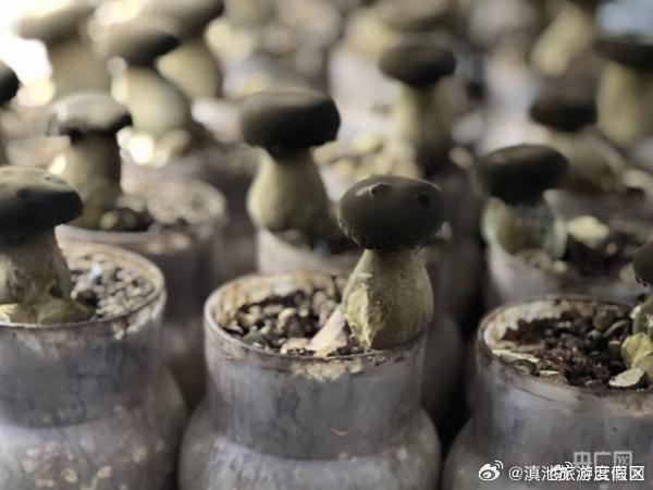 滇池旅游度假区