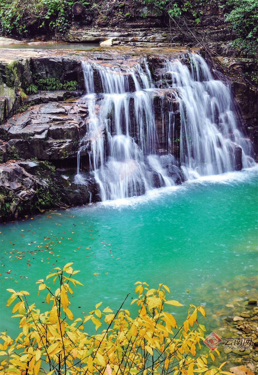 云南省文化和旅游厅