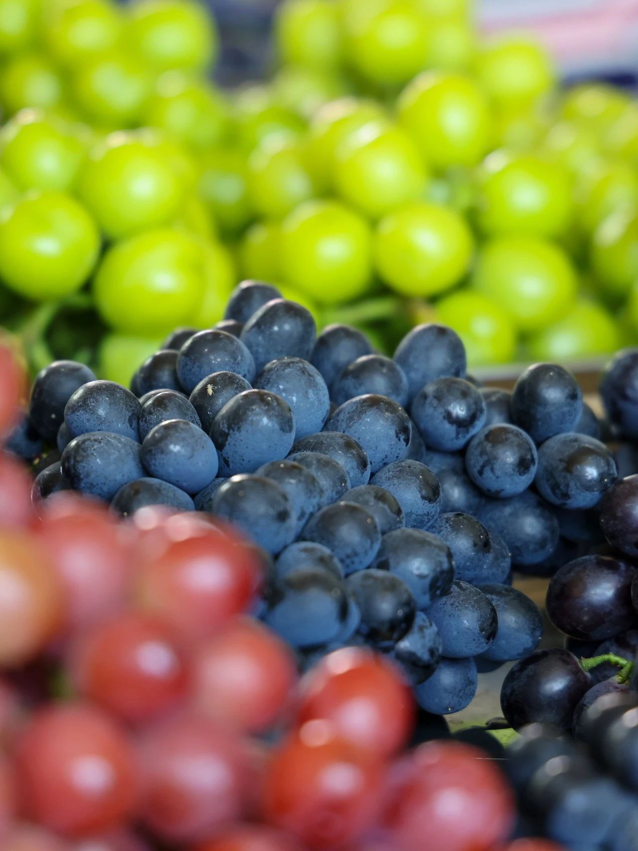 云南省文化和旅游厅