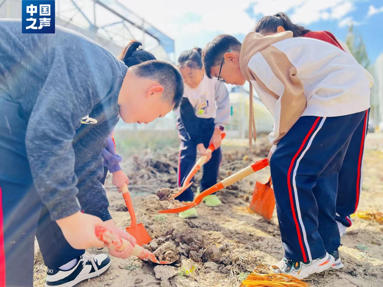 云南省文化和旅游厅