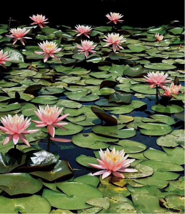 昆明国家高新区发布