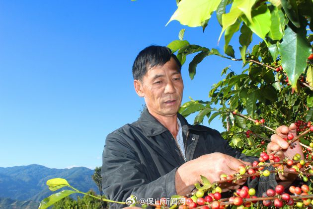 保山新闻网