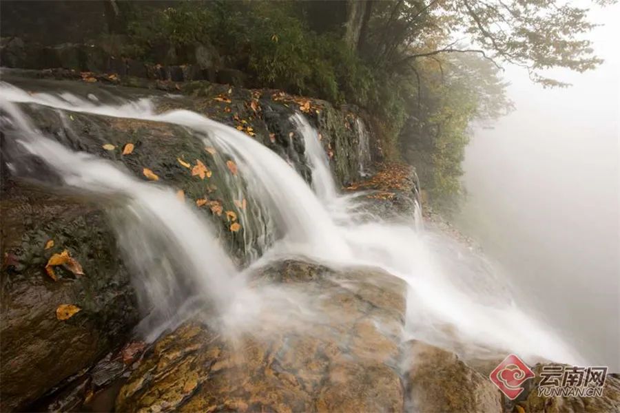 云南省文化和旅游厅