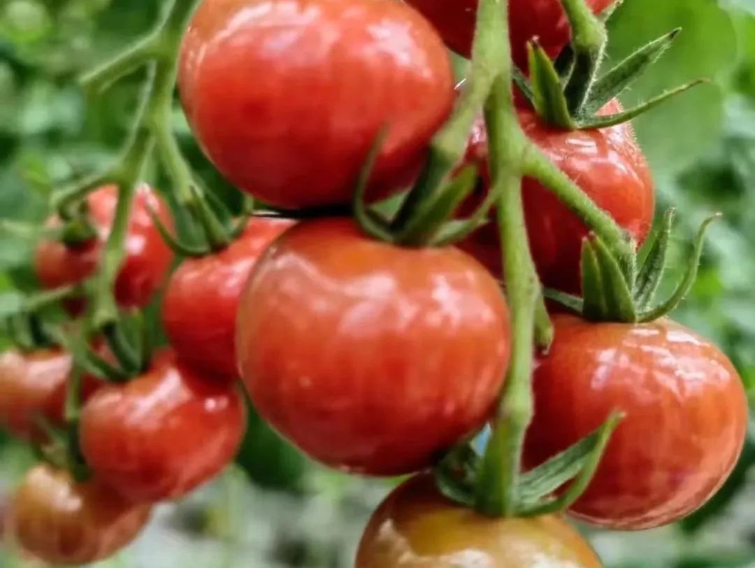 昆明阳宗海风景名胜区