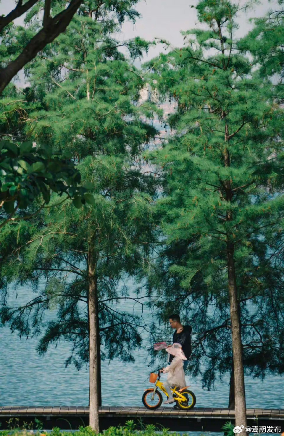 云南环境空气质量预报