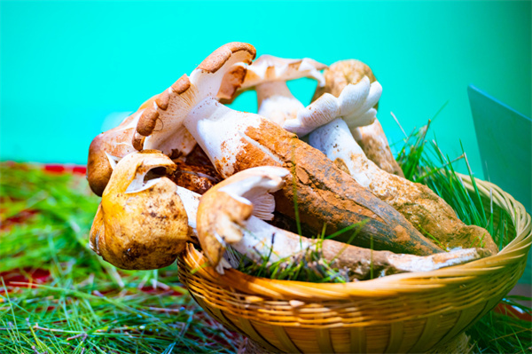 云南省文化和旅游厅