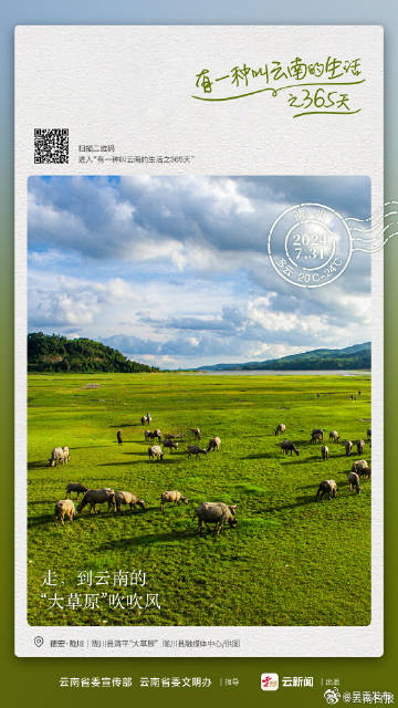 走，到云南的“大草原”吹吹风丨有一种叫云南的生活之365天