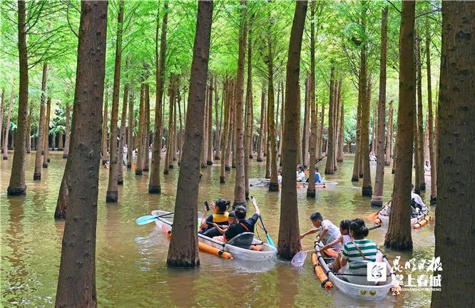 云南省文化和旅游厅