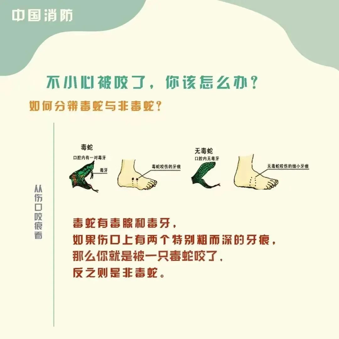 8099999街头巷尾微信