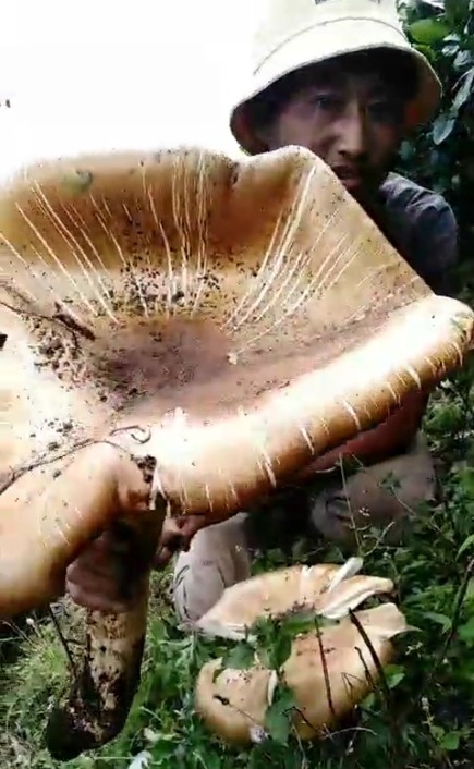 8099999街头巷尾微信