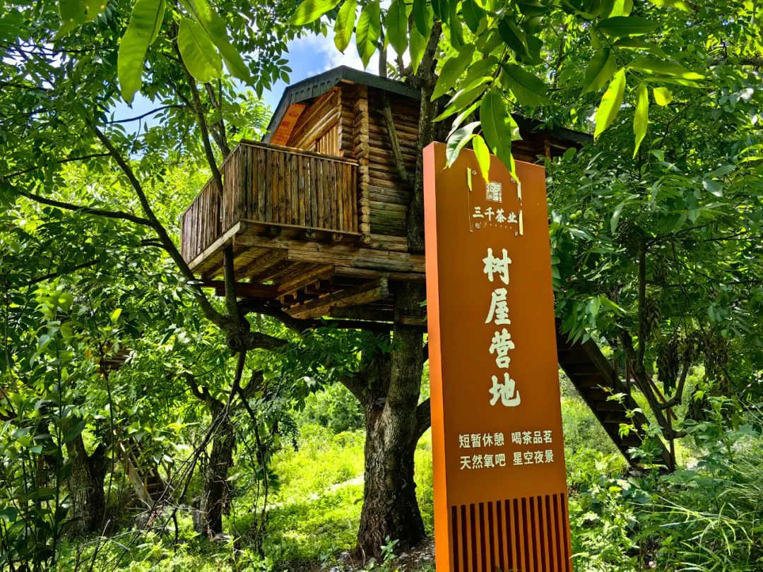 南涧党建彝乡先锋