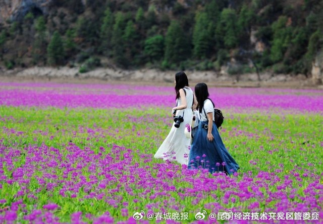 昆明经济技术开发区管委会