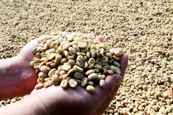 云南省文化和旅游厅