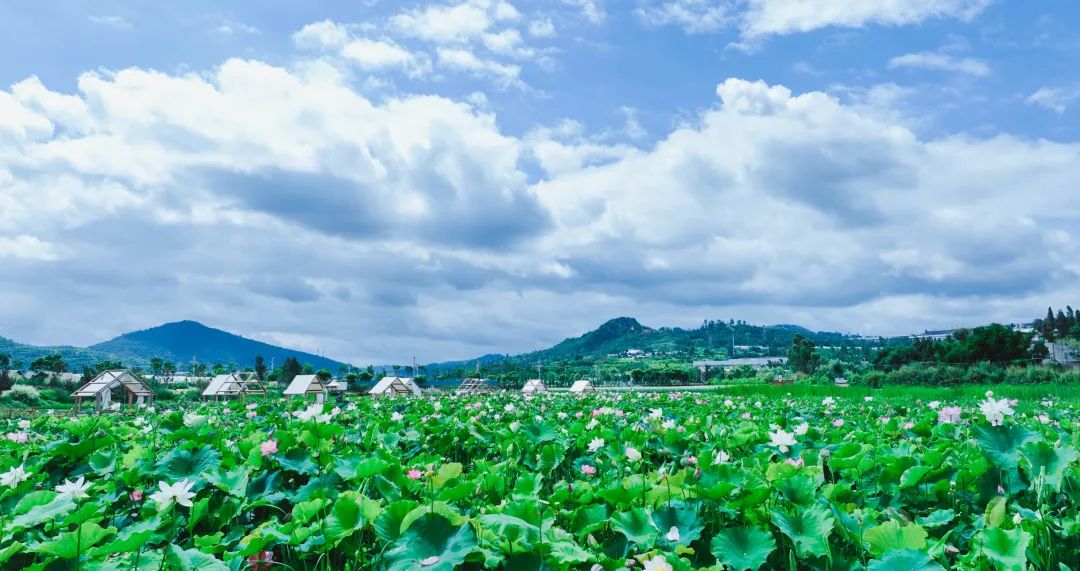 晋宁诗意的栖居地