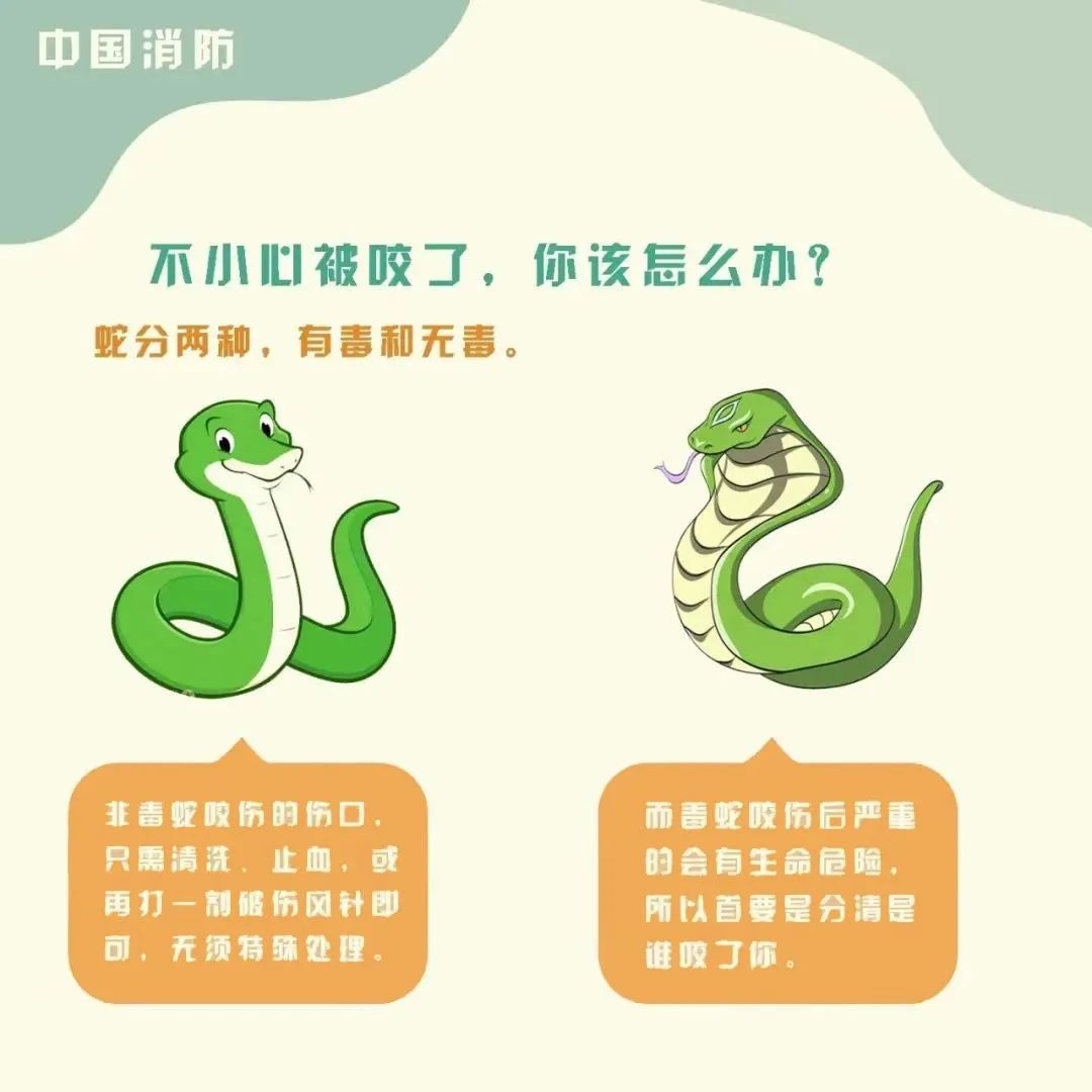 8099999街头巷尾微信