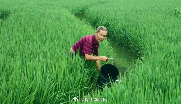保山新闻网