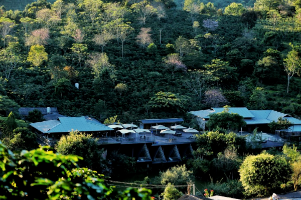 云南省文化和旅游厅