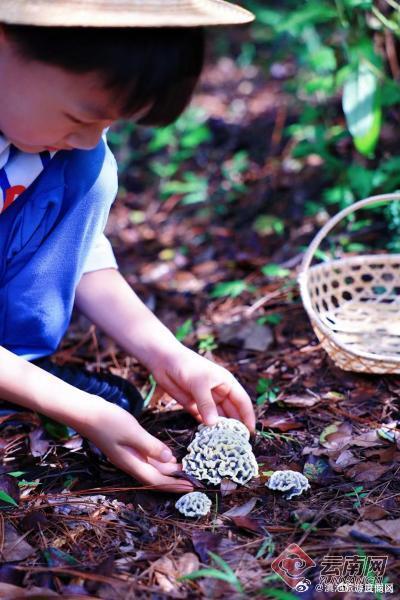滇池旅游度假区