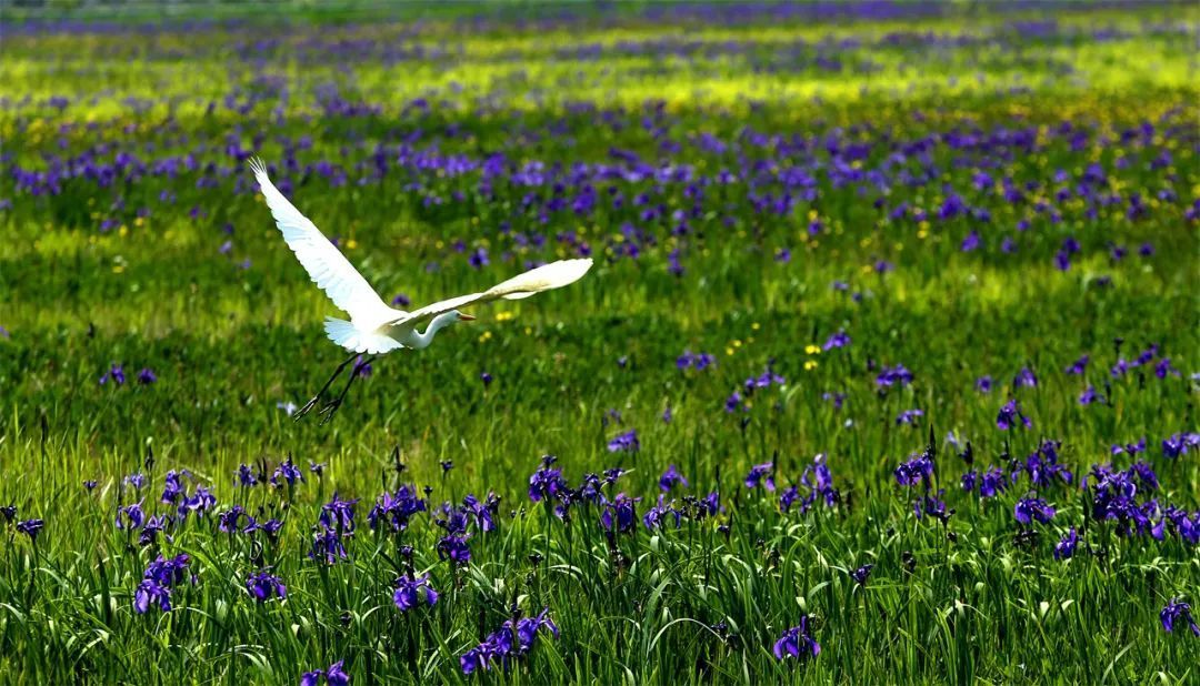 云南省文化和旅游厅