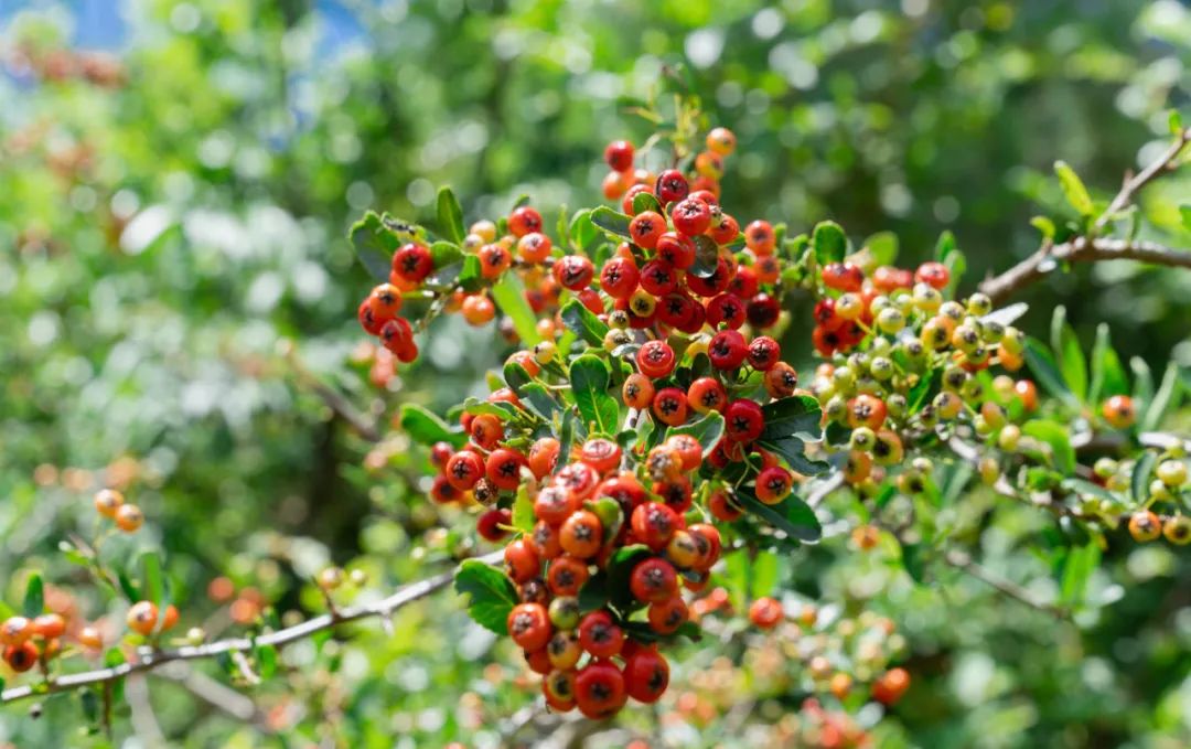 晋宁诗意的栖居地