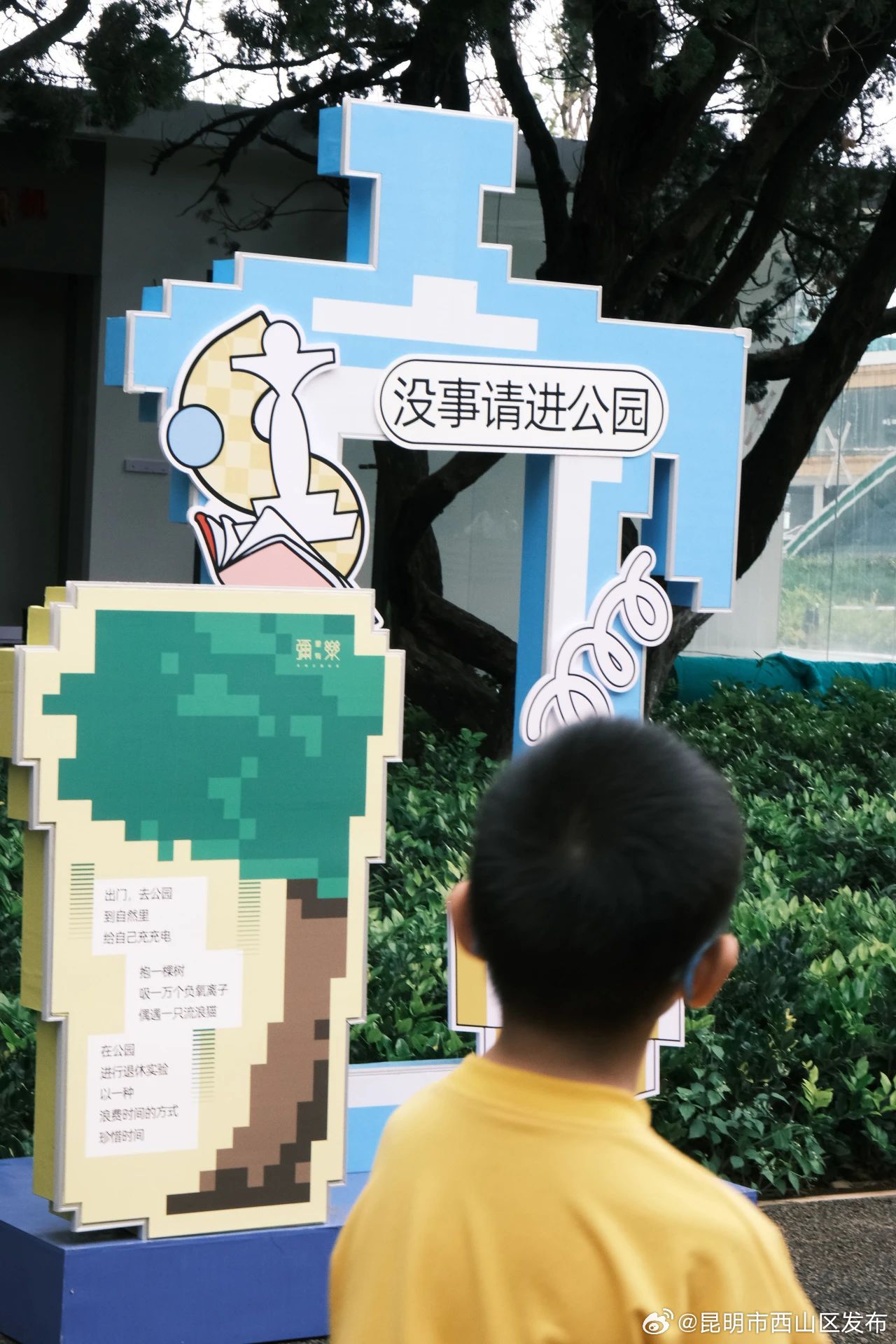 昆明市西山区发布