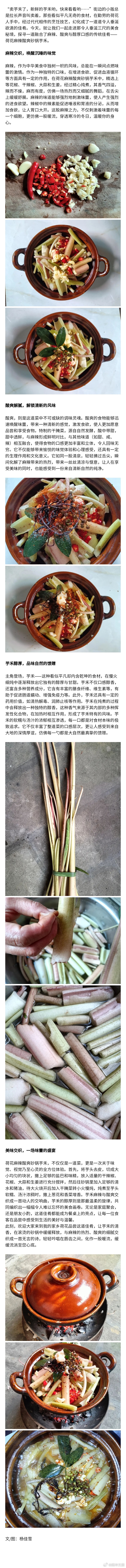 探寻荷花麻辣酸爽砂锅芋禾的非凡魅力