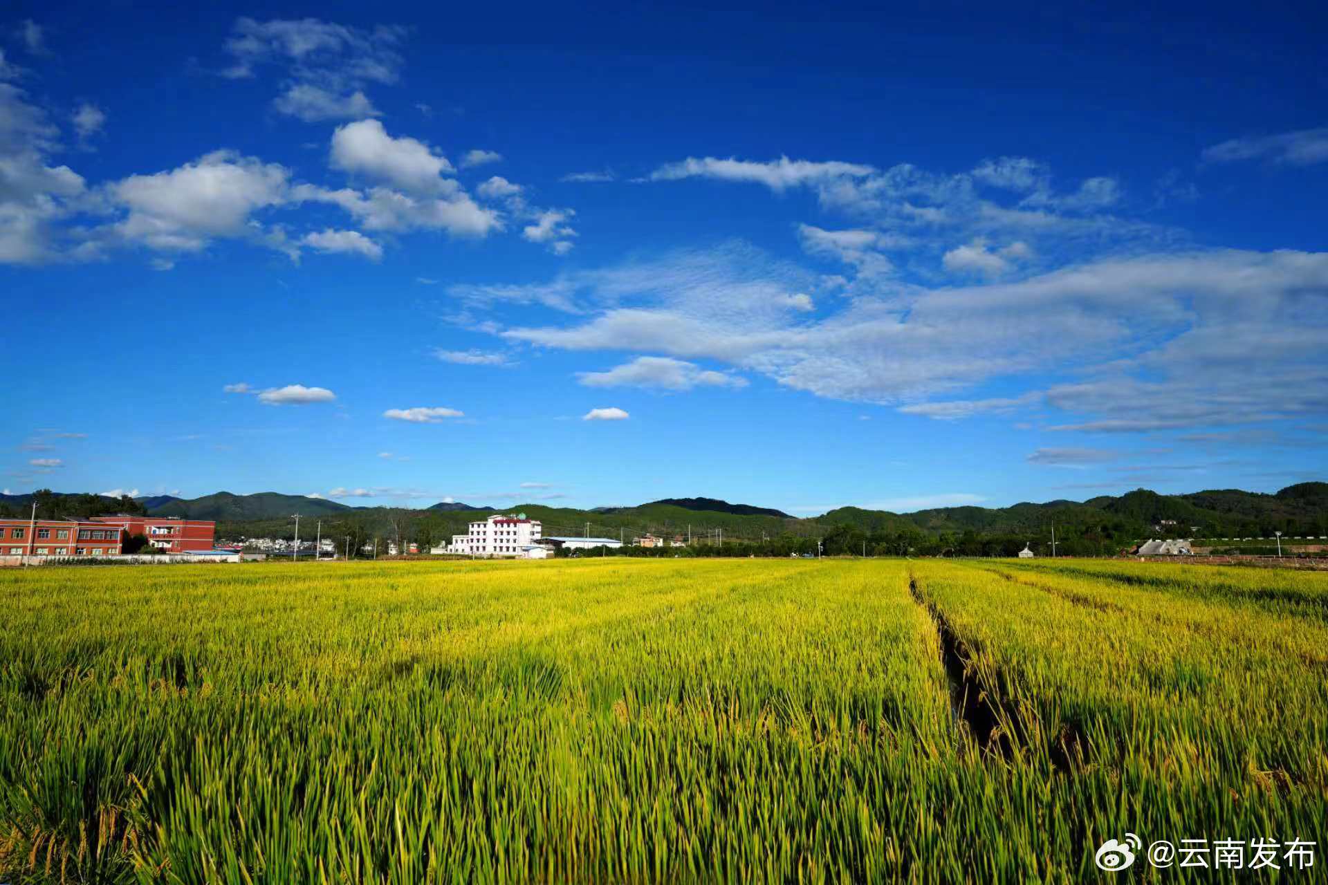 云南发布