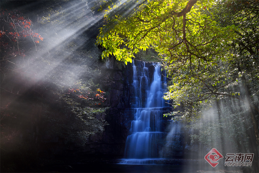 云南省文化和旅游厅