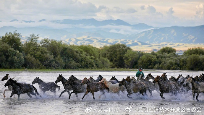 昆明经济技术开发区管委会