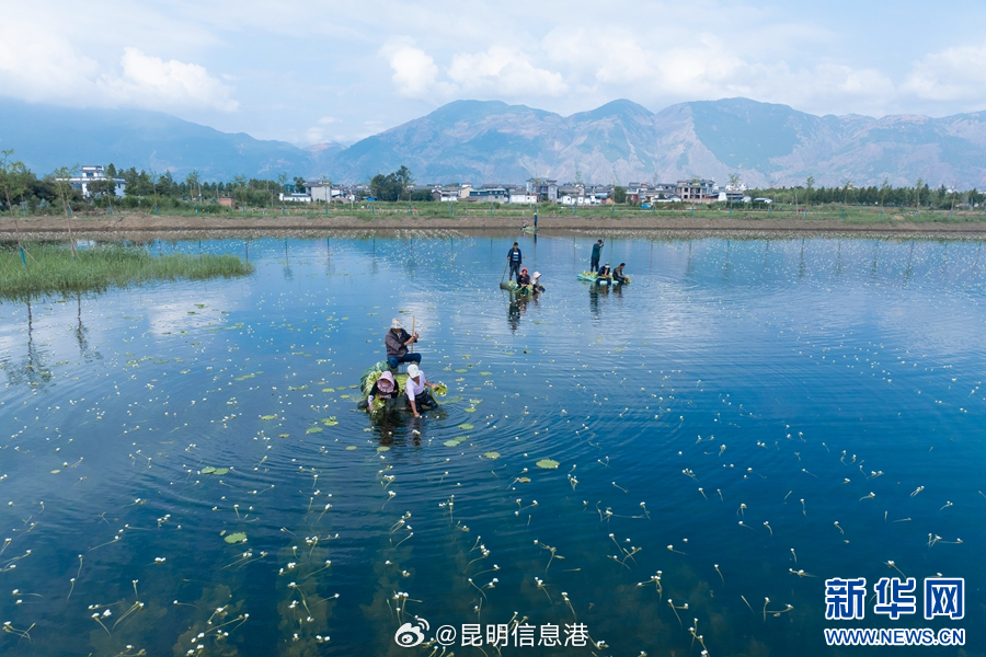昆明信息港微博
