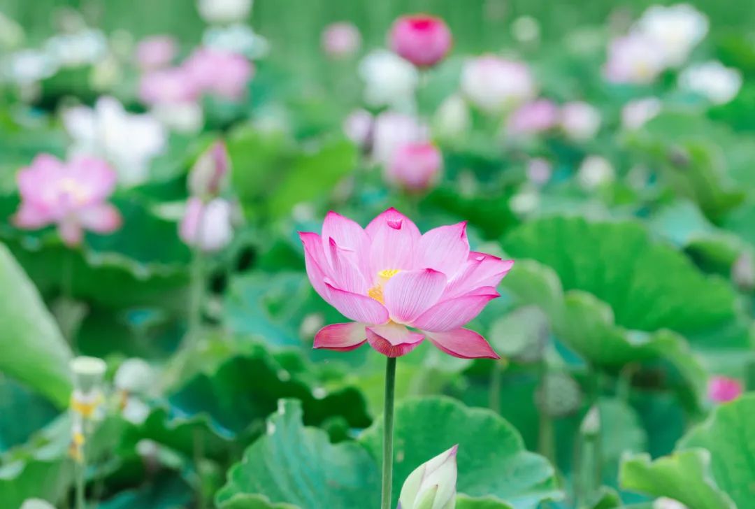 晋宁诗意的栖居地