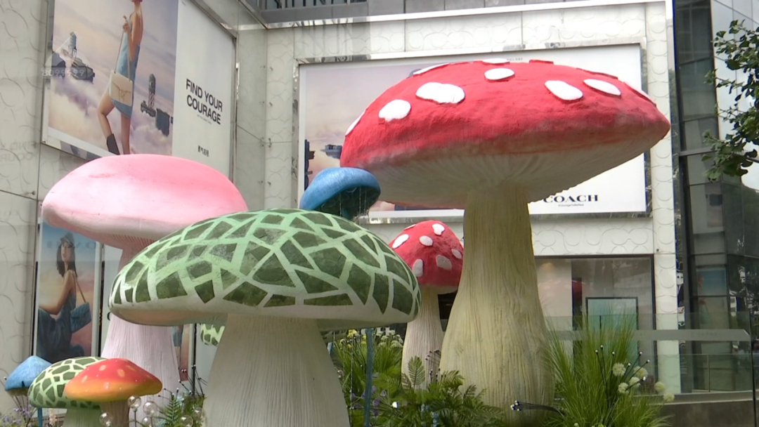 8099999街头巷尾微信