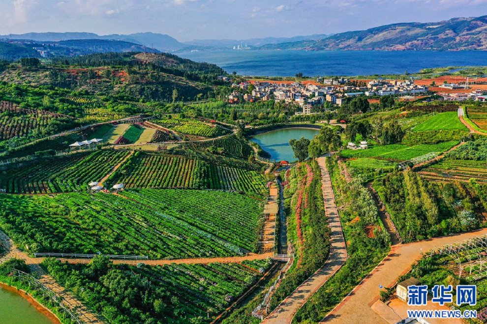 云南省文化和旅游厅