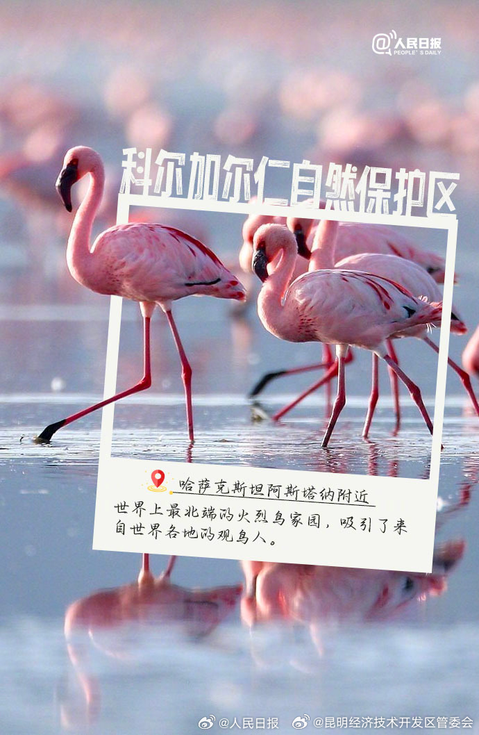 昆明经济技术开发区管委会