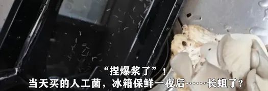 8099999街头巷尾微信