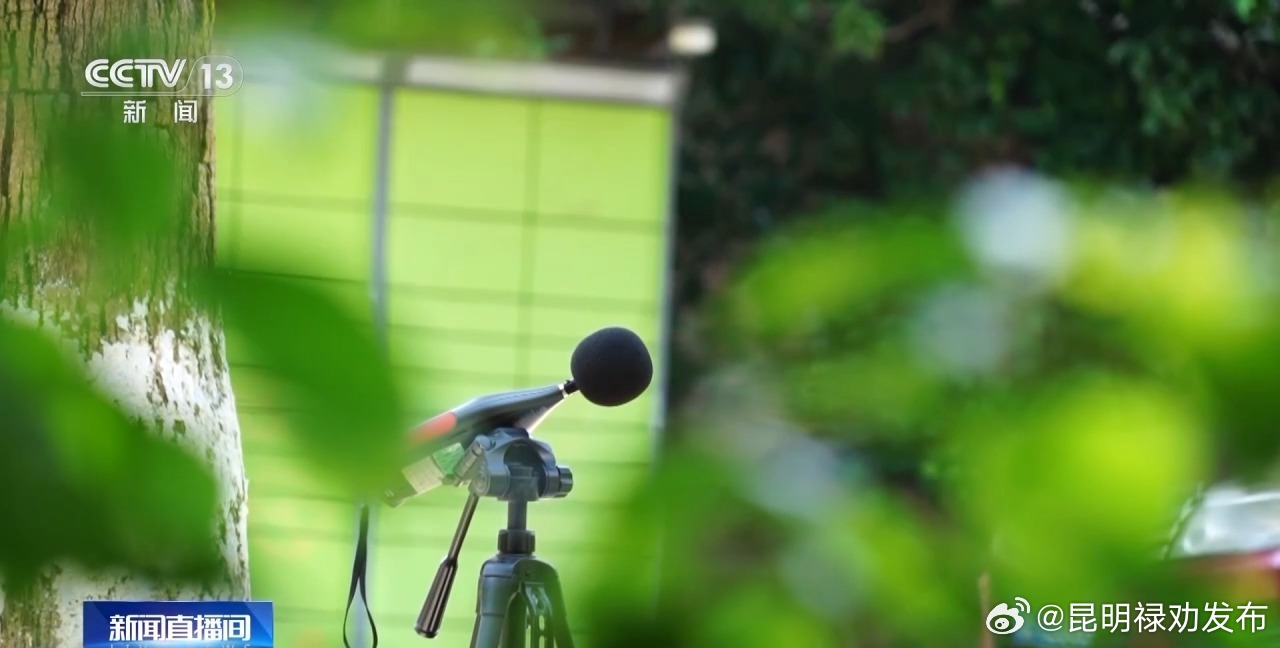 鸟类也有自己的“方言”！来听大自然的声音→