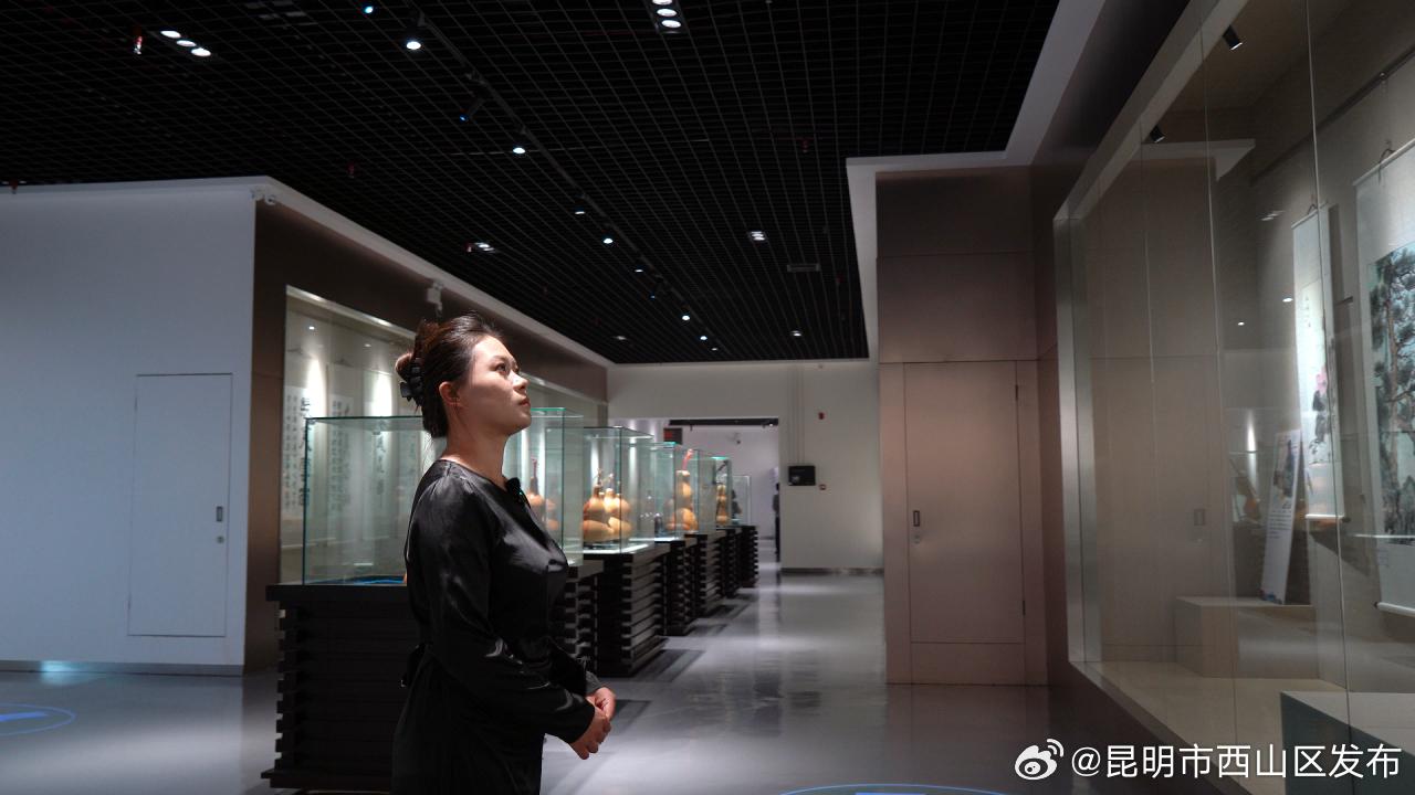 昆明市西山区发布