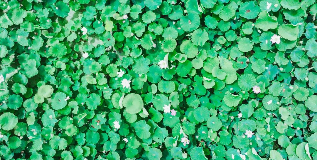 晋宁诗意的栖居地