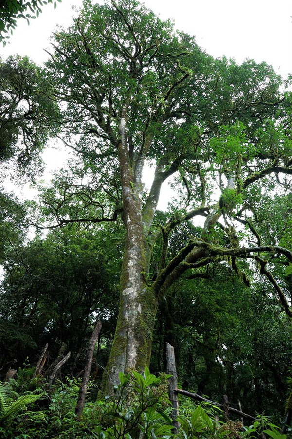 云南省文化和旅游厅