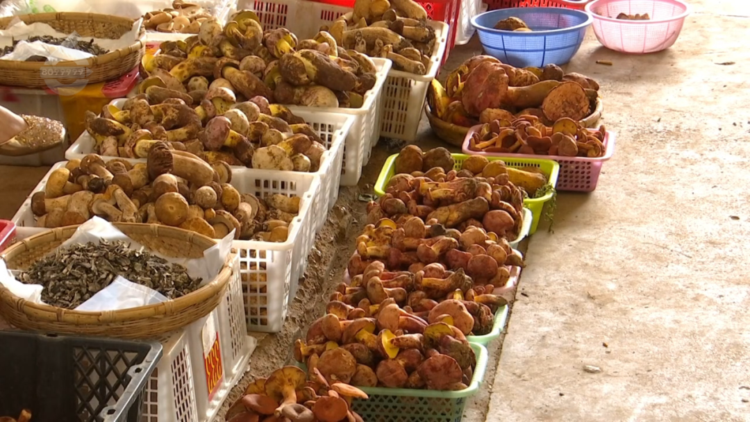 8099999街头巷尾微信