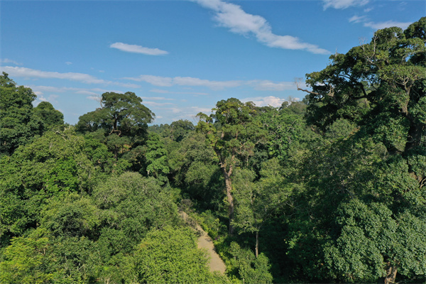 云南省文化和旅游厅