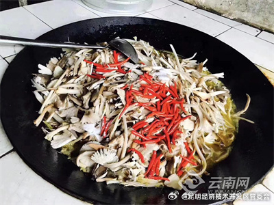 昆明经济技术开发区管委会