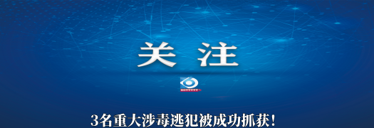 8099999街头巷尾微信