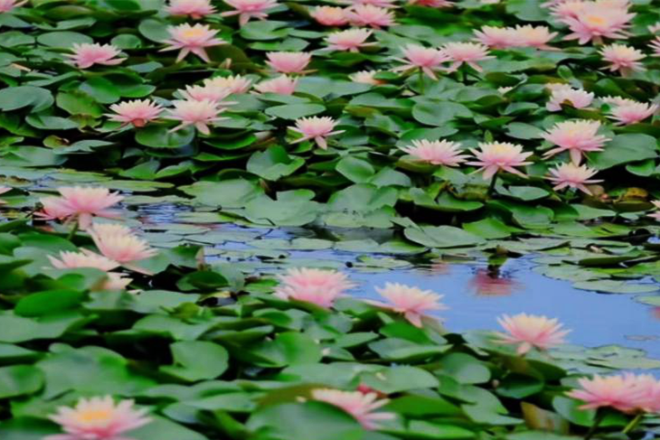 昆明国家高新区发布