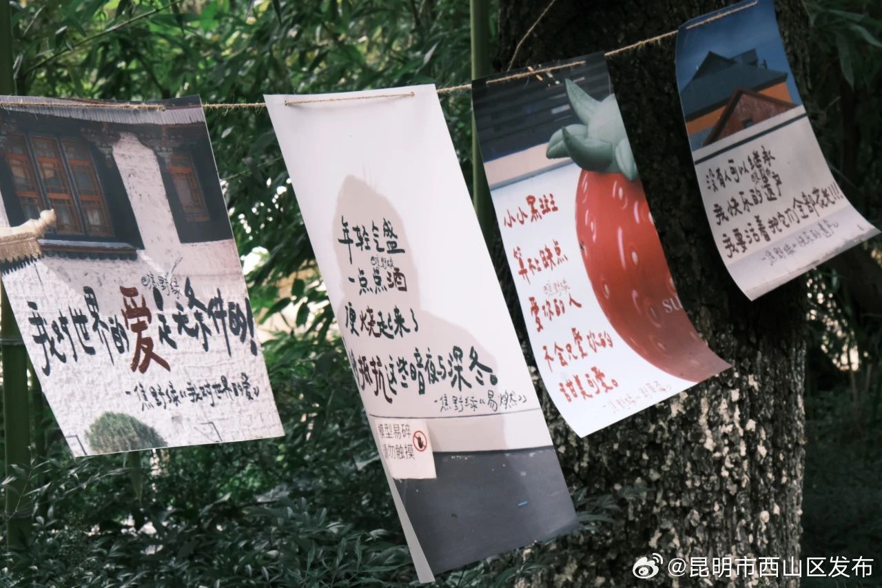 昆明市西山区发布